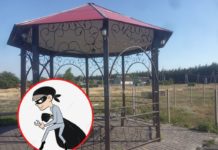 На Павлоградщине глава ОТГ обещает деньги за информацию про воров