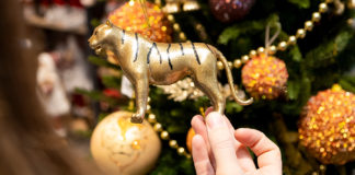 Чего ждать от 2022 года каждому знаку Зодиака?