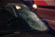 В Павлоградском районе насмерть сбили пешехода