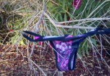 В Павлограде пьяная пара предавалась разврату возле школы