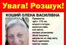 Ушла из дома в комнатных тапочках: Павлоградские кинологи ищут пропавшую женщину