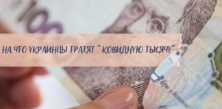 Украинцы потратили более 1,5 млрд грн по программе «єПідтримка»: куда?