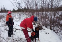 В Павлограде спасателей-кинологов не пустили в маршрутку