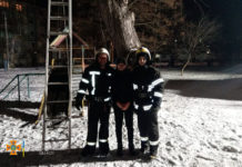 В Павлограде подросток залез на дерево: вызывали спасателей