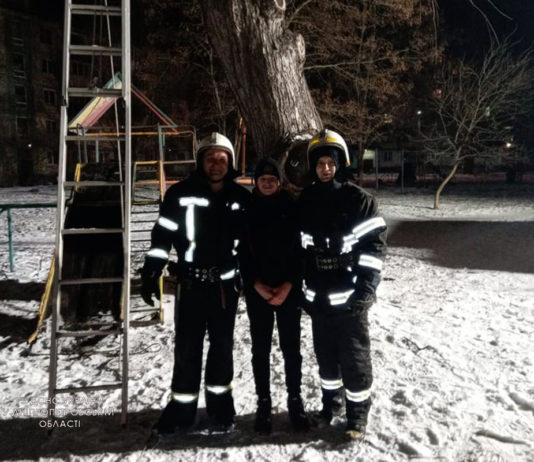 В Павлограде подросток залез на дерево: вызывали спасателей