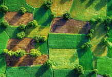 На Павлоградщине арендовали землю по подложным документам