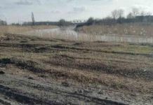 В Павлограде нашли труп большой змеи