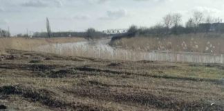 В Павлограде нашли труп большой змеи