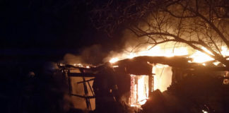 На Сосновке сгорел заброшенный дом (ФОТО)