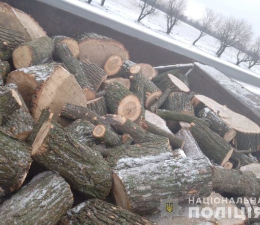 В Павлограде остановили машину «черного лесоруба»