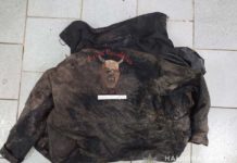 Полиция Павлограда ищет водителя, который сбил человека и скрылся