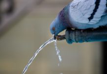 В Україні поступово підніматимуть тарифи  на воду