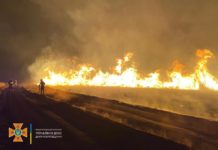 Рятувальники Павлоградщини: «Громадяни зупиніться! Для держави — це величезні збитки»
