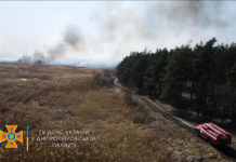 На Павлоградщині масштабно горів ліс (ВІДЕО)