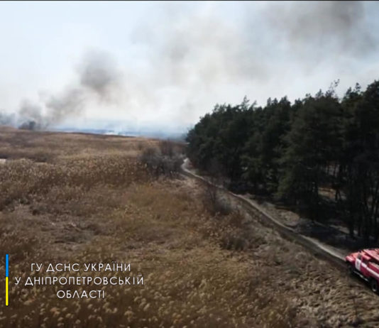 На Павлоградщині масштабно горів ліс (ВІДЕО)