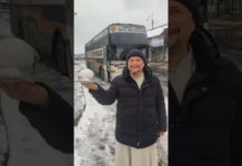 Символ мира: священнику из Днепропетровщины сел на руку белый голубь