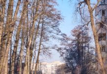 В Нацполіції назвали статистику по кількості правопорушень під час війни