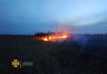 На Павлоградщині палає суха трава (ФОТО)