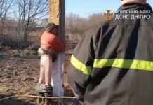 На Днепропетровщине поджигателя наказали «по законам военного времени» (ВИДЕО)