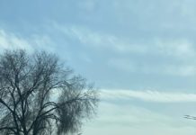 На трасі Павлоград-Дніпро сьогодні були затори