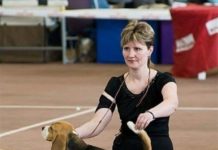 Пішла Королева: у Павлограді помер легендарний пошуковий собака