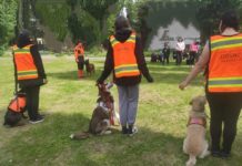 У Павлограді кінологи працюють з дітьми-переселенцями