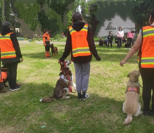 У Павлограді кінологи працюють з дітьми-переселенцями
