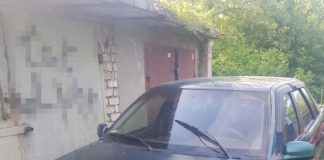 У Павлограді співпляшечник викрав авто