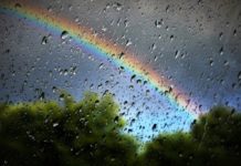 На цьому тижні погода буде дощовою