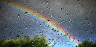 На Дніпропетровщині погіршиться погода: подробиці