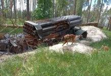 Павлоградські кінологи допомогли знайти тіла двох закатованих рашистами чоловіків (ФОТО)