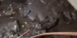 У Дніпрі знайшли «мертвого крокодила» (ВІДЕО)