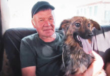 Навіть під час війни павлоградці забирають безхатніх тварин (ВІДЕО)