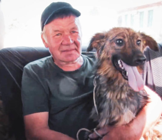 Навіть під час війни павлоградці забирають безхатніх тварин (ВІДЕО)