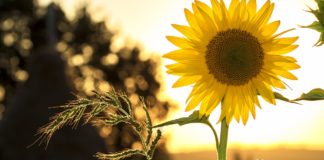 Сьогодні — енергетично сильний день