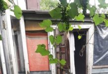 У Тернівці дівчина-підліток ледь не вбила подругу