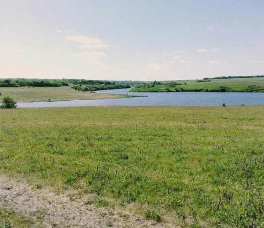 На Дніпропетровщині незаконно передали в оренду 103 га водного фонду