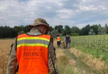 Таємниче зникнення: павлоградські кінологи долучилися до пошуків дитини
