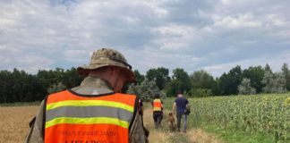 Таємниче зникнення: павлоградські кінологи долучилися до пошуків дитини