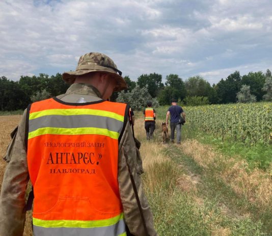 Таємниче зникнення: павлоградські кінологи долучилися до пошуків дитини
