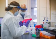 У кількох містах Дніпропетровщини зафіксували новий штам коронавірусу Stratus