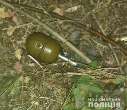 На пляжі у Павлоградському районі чоловік бігав з гранатою