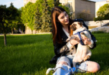 Як вимушеним переселенцям влаштуватись на роботу в Павлограді? (ВІДЕО)