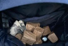 На блокпосту у м. Павлоград вилучили 300 патронів до АК