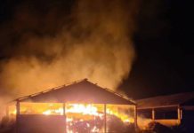 На Дніпропетровщині ракети влучили в аграрне підприємство