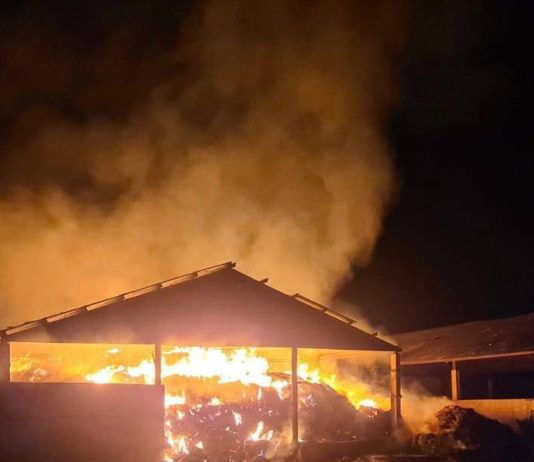 На Дніпропетровщині ракети влучили в аграрне підприємство