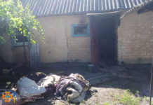 На Павлоградщині пожежа забрала життя жінки