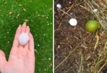 У Павлограді випав чималий град (ФОТО і ВІДЕО)