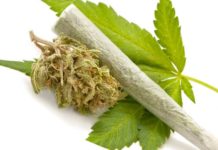 У Павлограді затримали кілька людей з наркотиками