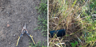 Погрожував садовими ножицями: у селі сталося пограбування